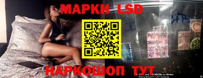 спиды Камышлов