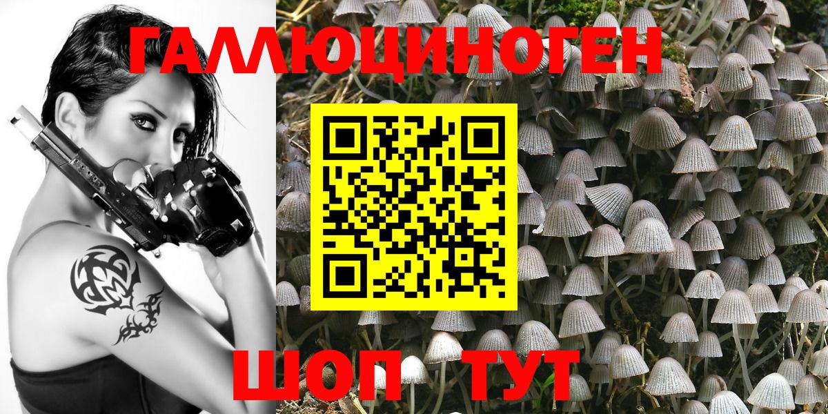 Псилоцибиновые грибы Magic Shrooms  Вход с VPN  Галлюциногенные грибы Magic Shrooms  Лесозаводск 