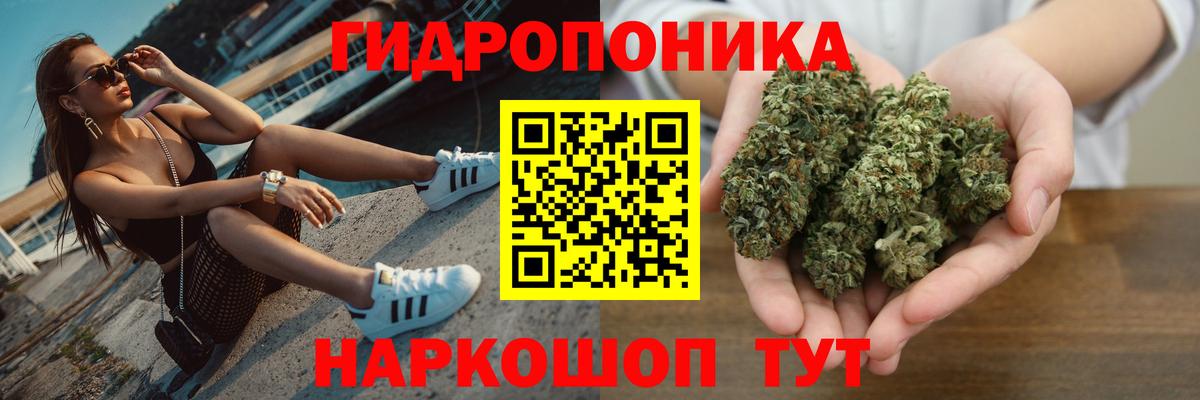 Шишки марихуана марихуана Лесозаводск